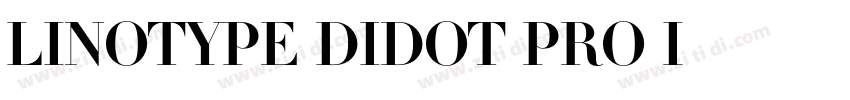Linotype Didot Pro I字体转换